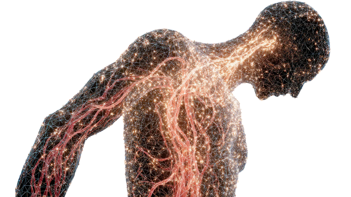 Inflammation illustration