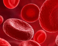 Blood Sugar Support